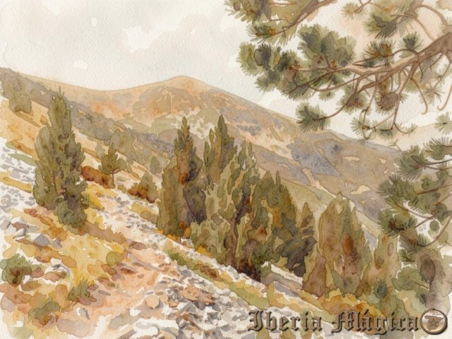 0082 El Moncayo - Soria