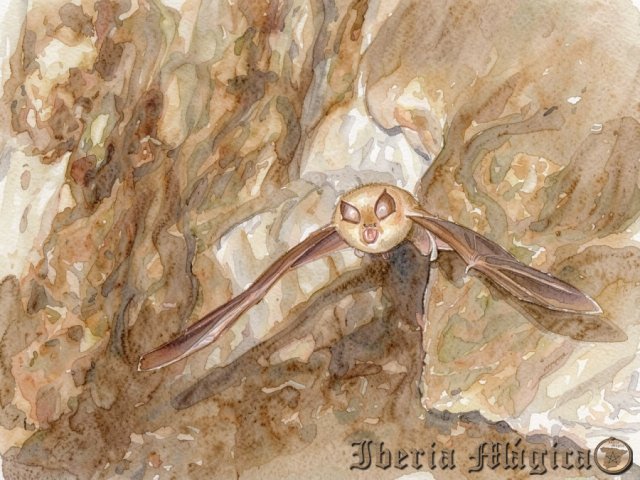 0206 Cueva de los Murciélagos - Córdoba